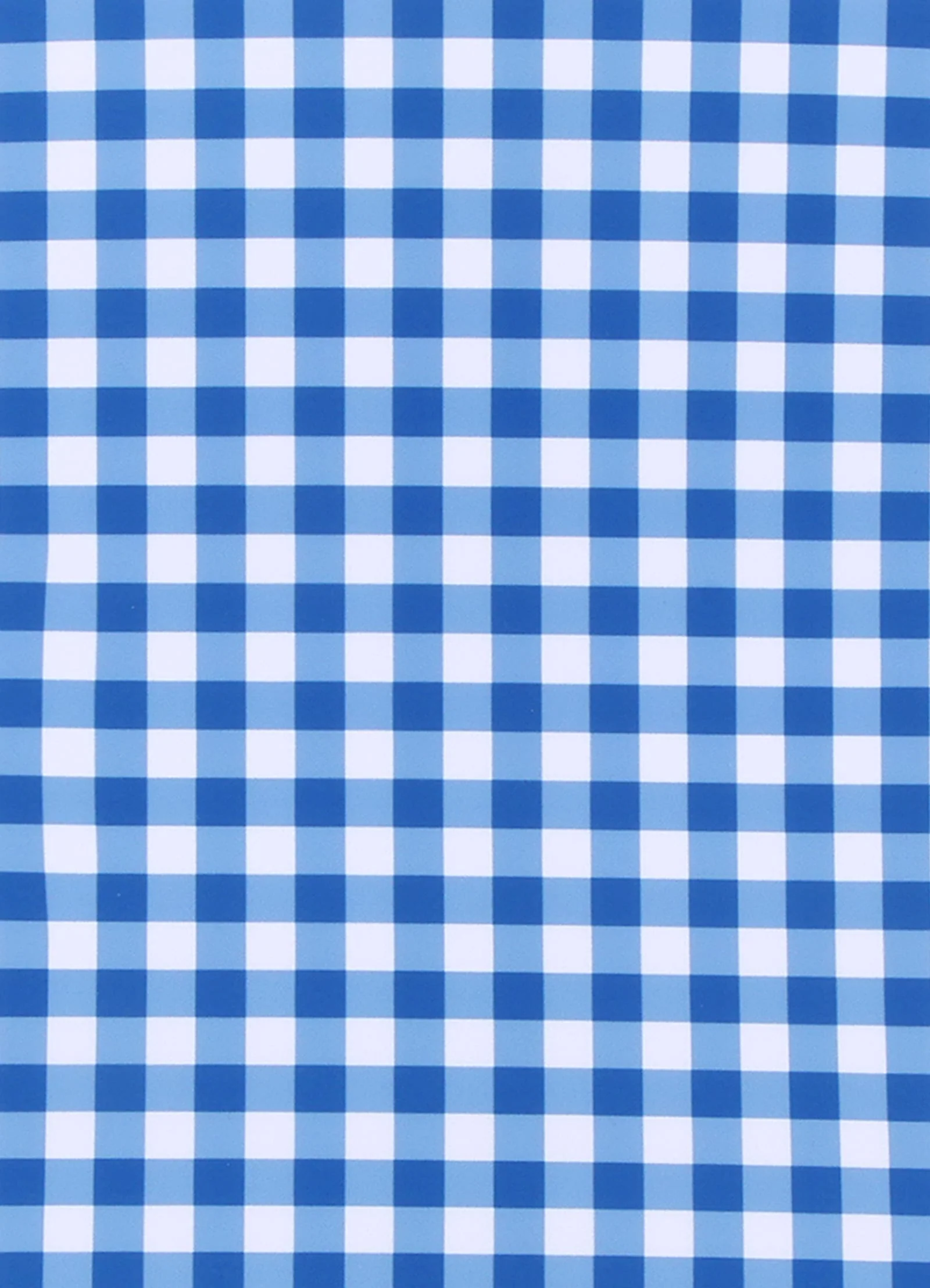 Gingham One Piece - Blue Lottie - Image 5